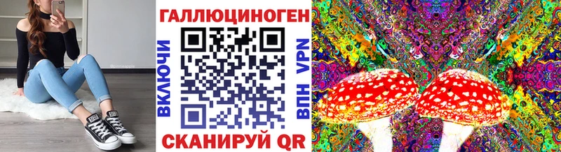 как найти   Печоры  Галлюциногенные грибы MAGIC MUSHROOMS 
